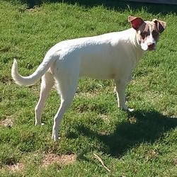 Amara (Mary) — thumbnail 3