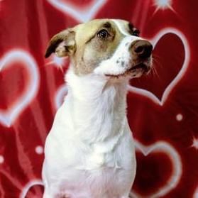 Amara (Mary) — thumbnail 4