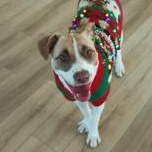 Amara (Mary) — thumbnail 6