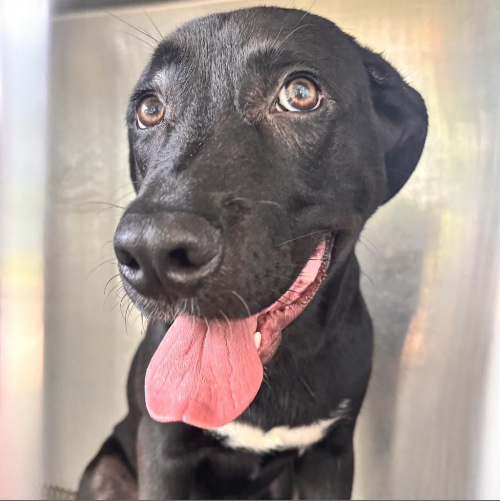 Fernando — thumbnail 2