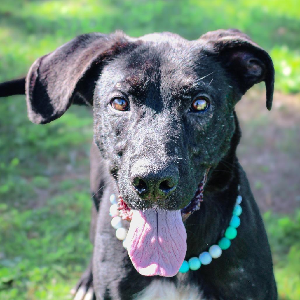 Fernando — thumbnail 3