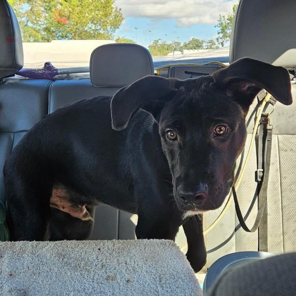 Fernando — thumbnail 4