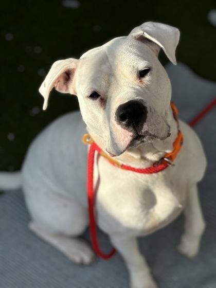 Sevyn — thumbnail 2