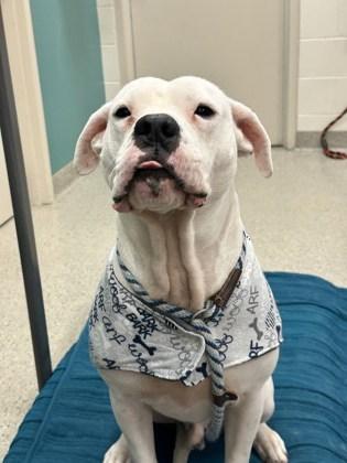 Sevyn — thumbnail 3