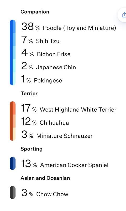 Willow, a Adopted Terrier in Corona, CA image 3/3