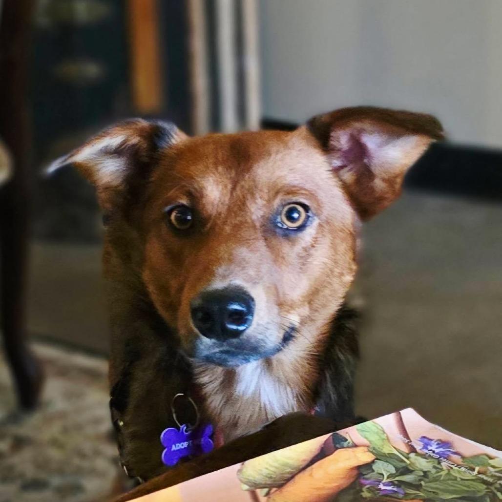 Rusty photo
