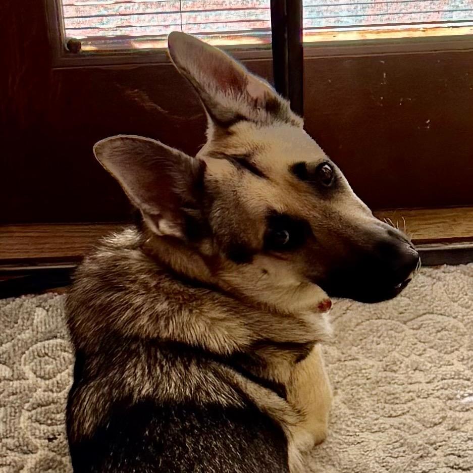 Sky (aka Chili) — thumbnail 2