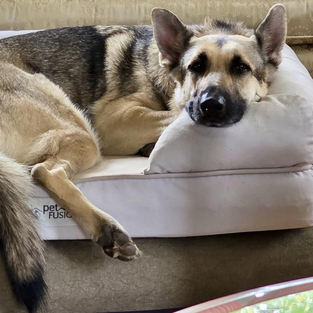 Sky (aka Chili) — thumbnail 6