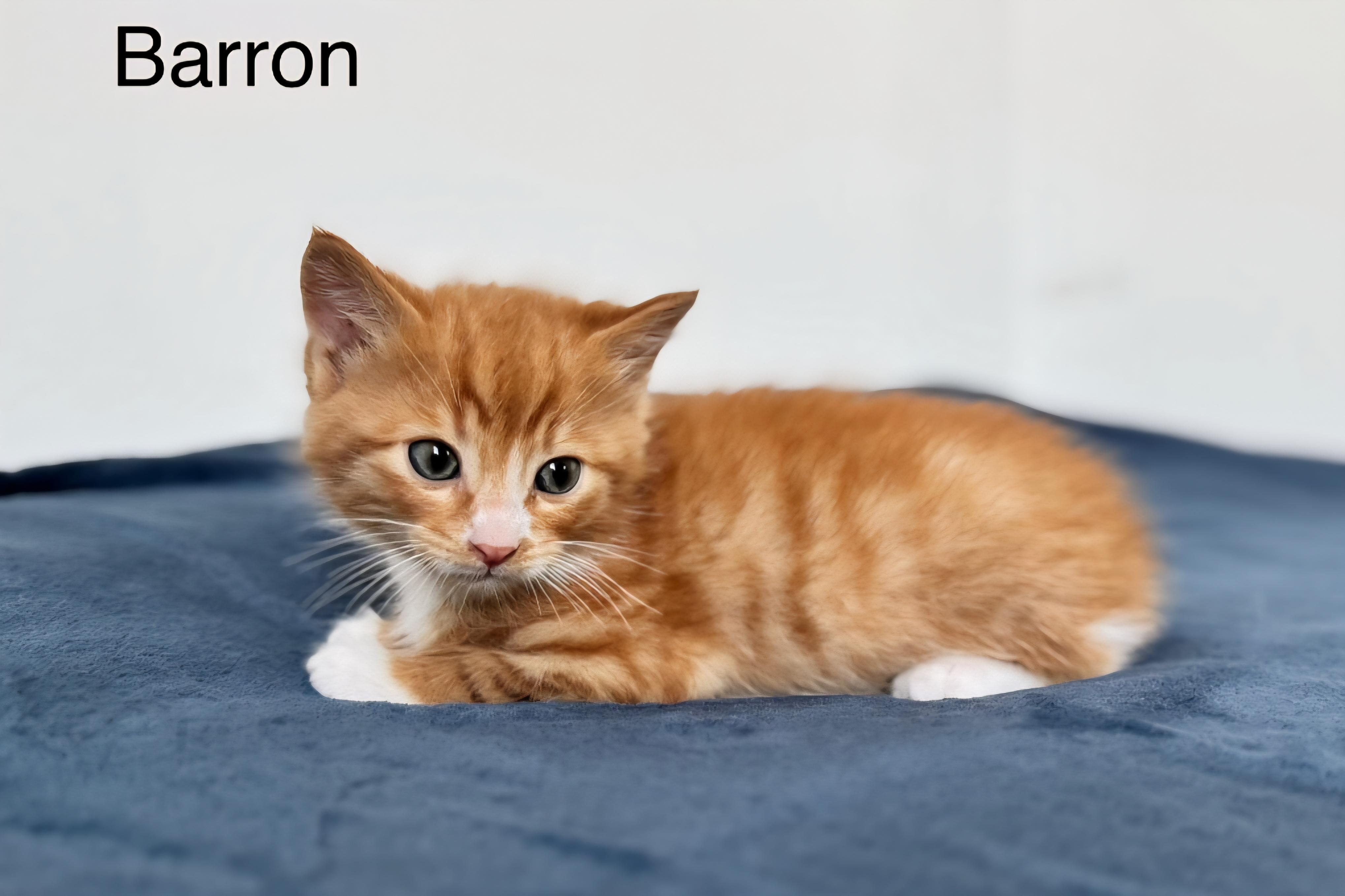 Baron