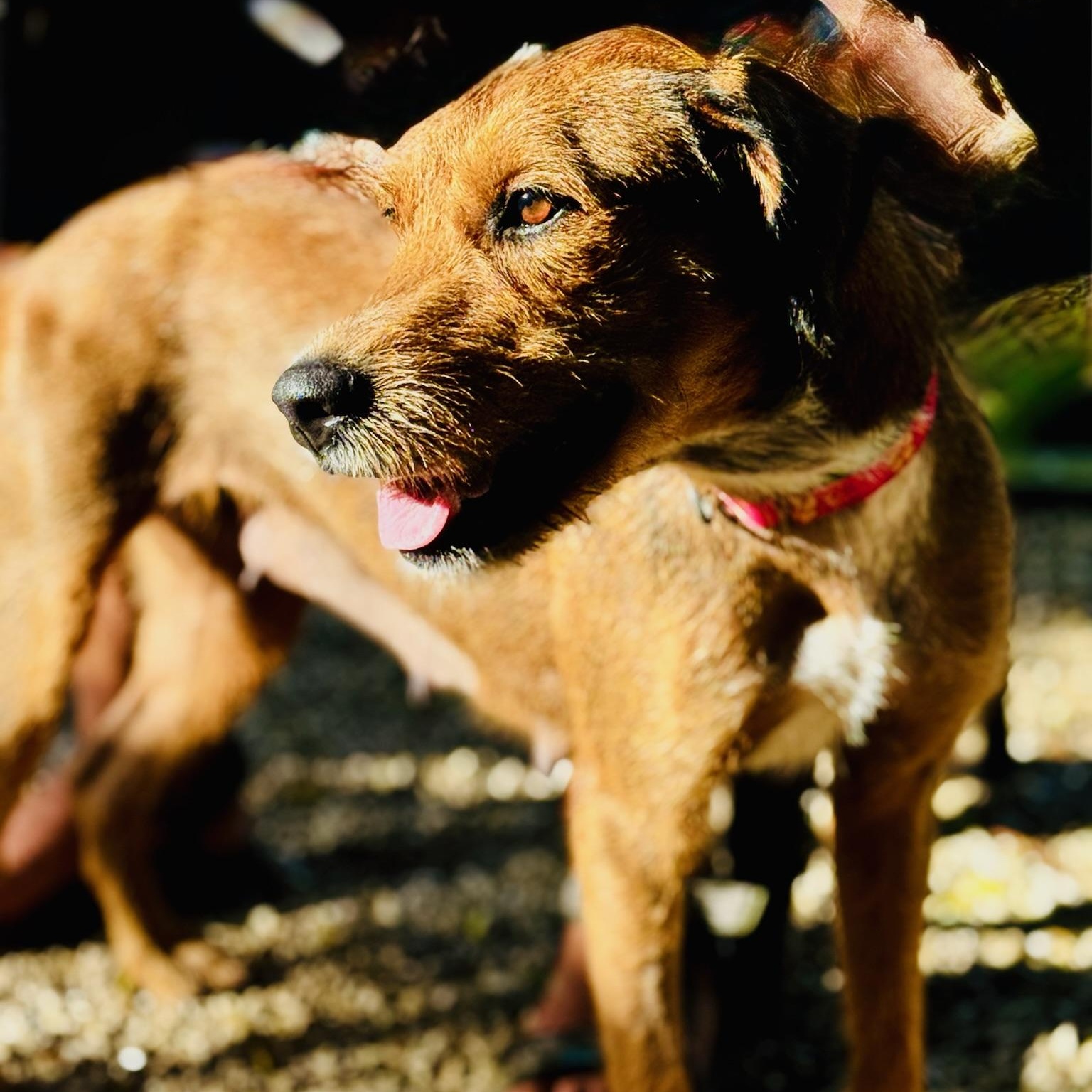 Harper- a beautiful Momma