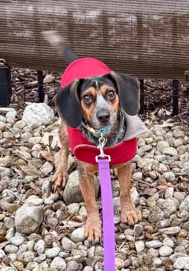 Mary — thumbnail 3