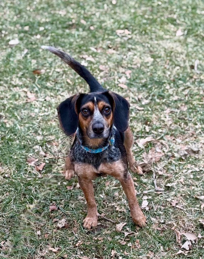 Mary — thumbnail 4