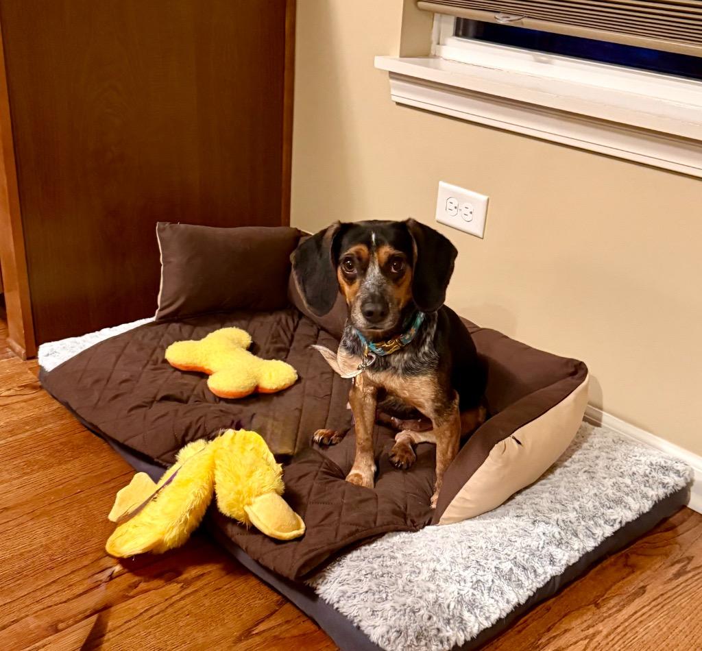 Mary — thumbnail 5