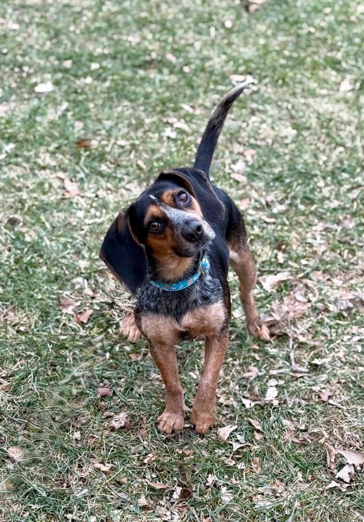 Mary — thumbnail 6