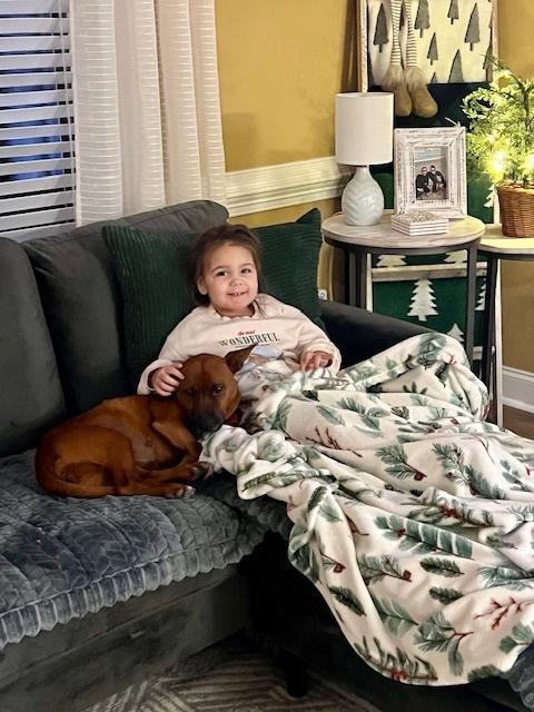 Enlarge Bunny, a Adoptable mixed breed in Willingboro, NJ image 1/6