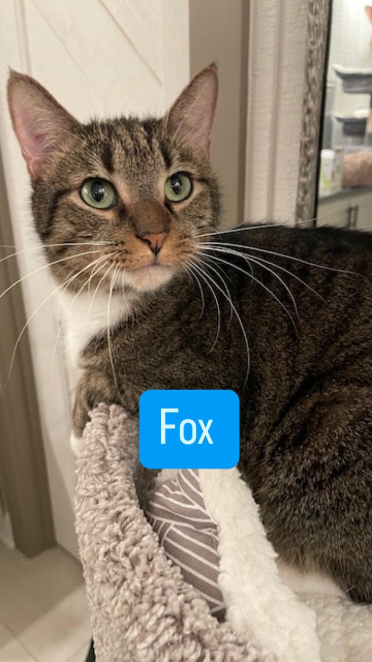 CP - NC Dana and Fox