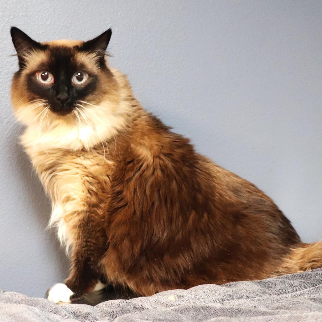 Miss Jane — thumbnail 3