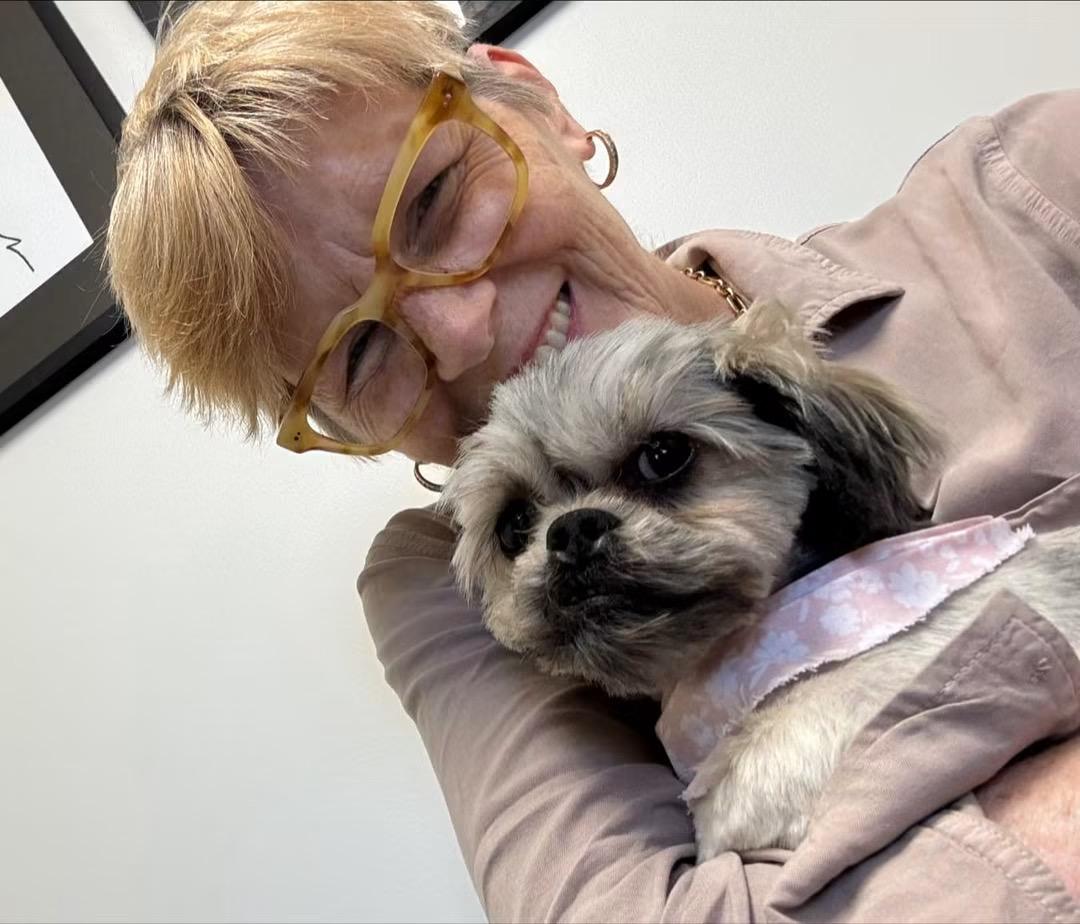 Enlarge Demi, a ADOPTABLE Shih Tzu in Matthews, NC image 3/3