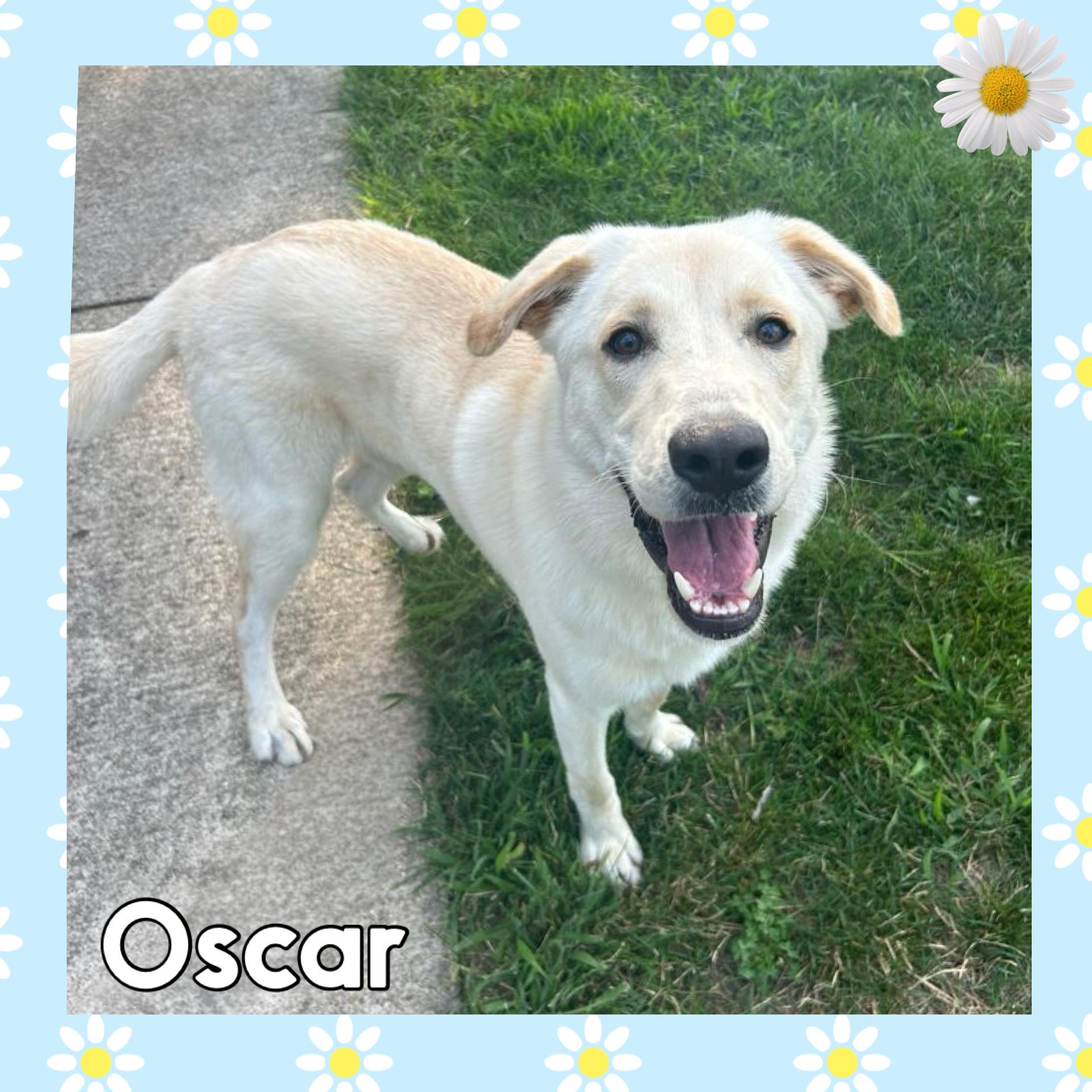 Oscar