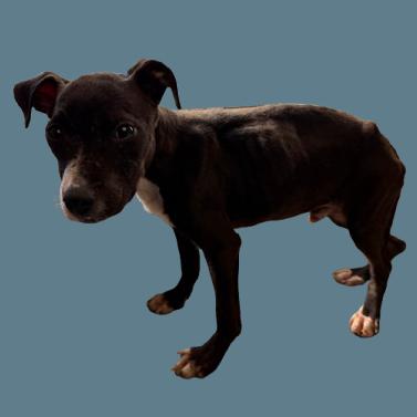 Munson — thumbnail 2