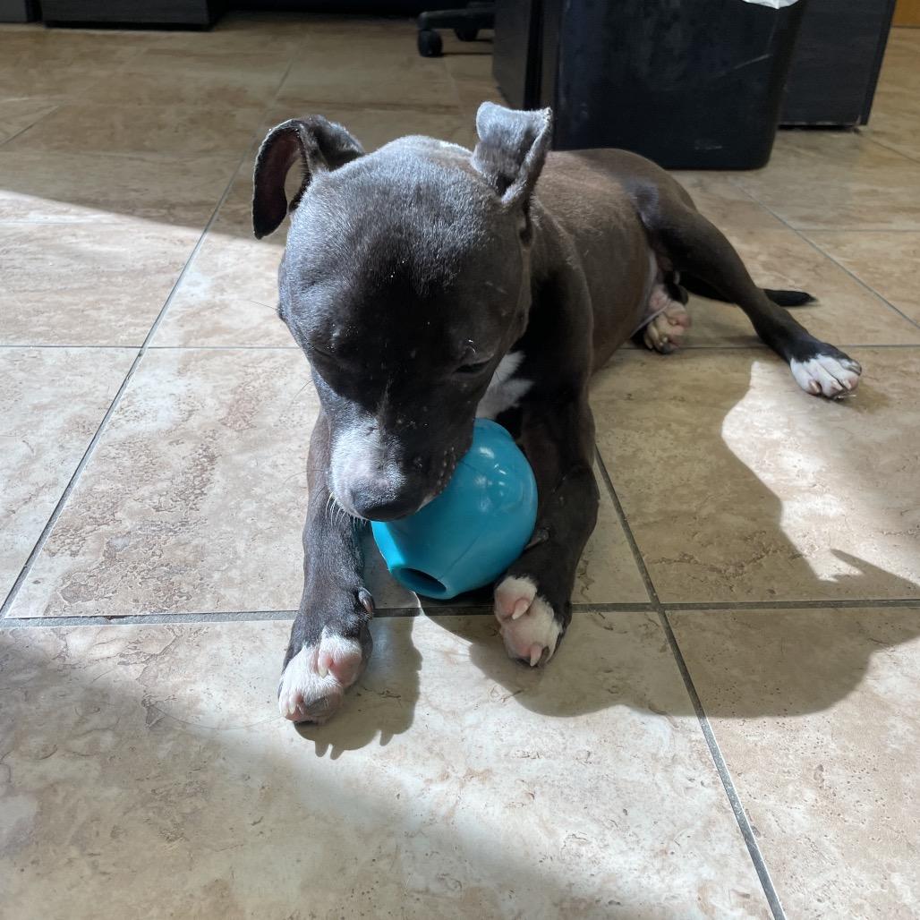 Munson — thumbnail 3