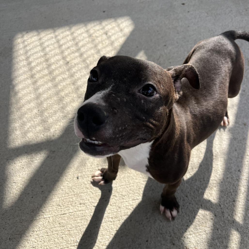 Munson — thumbnail 4