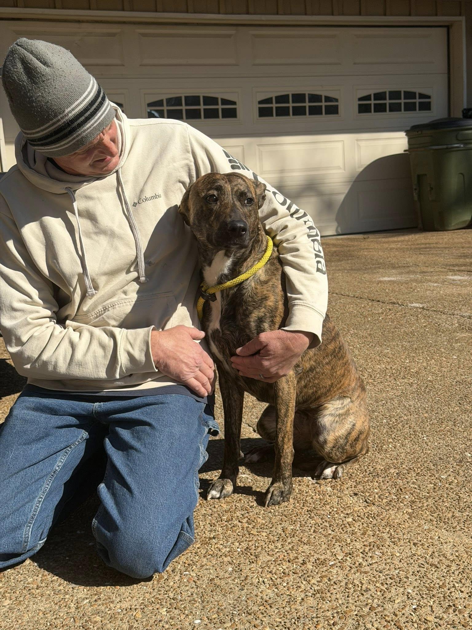 Enlarge Winnie, an adopted mixed breed in St. Louis, MO image 2/3