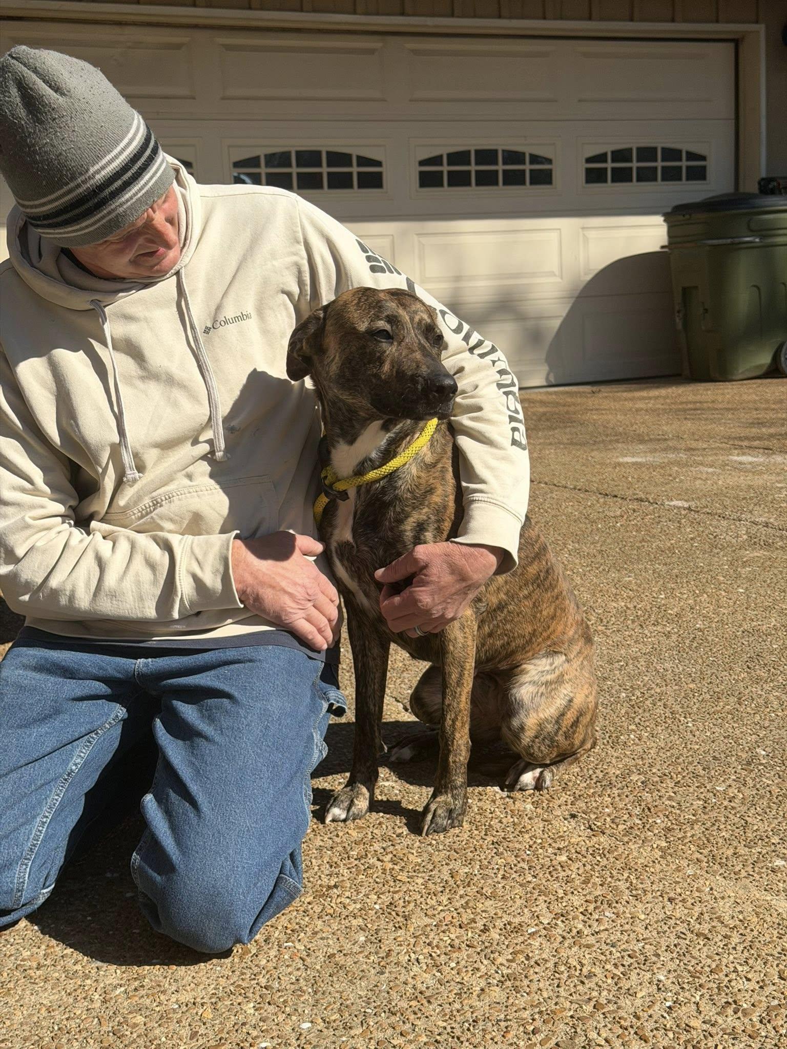 Enlarge Winnie, an adopted mixed breed in St. Louis, MO image 3/3