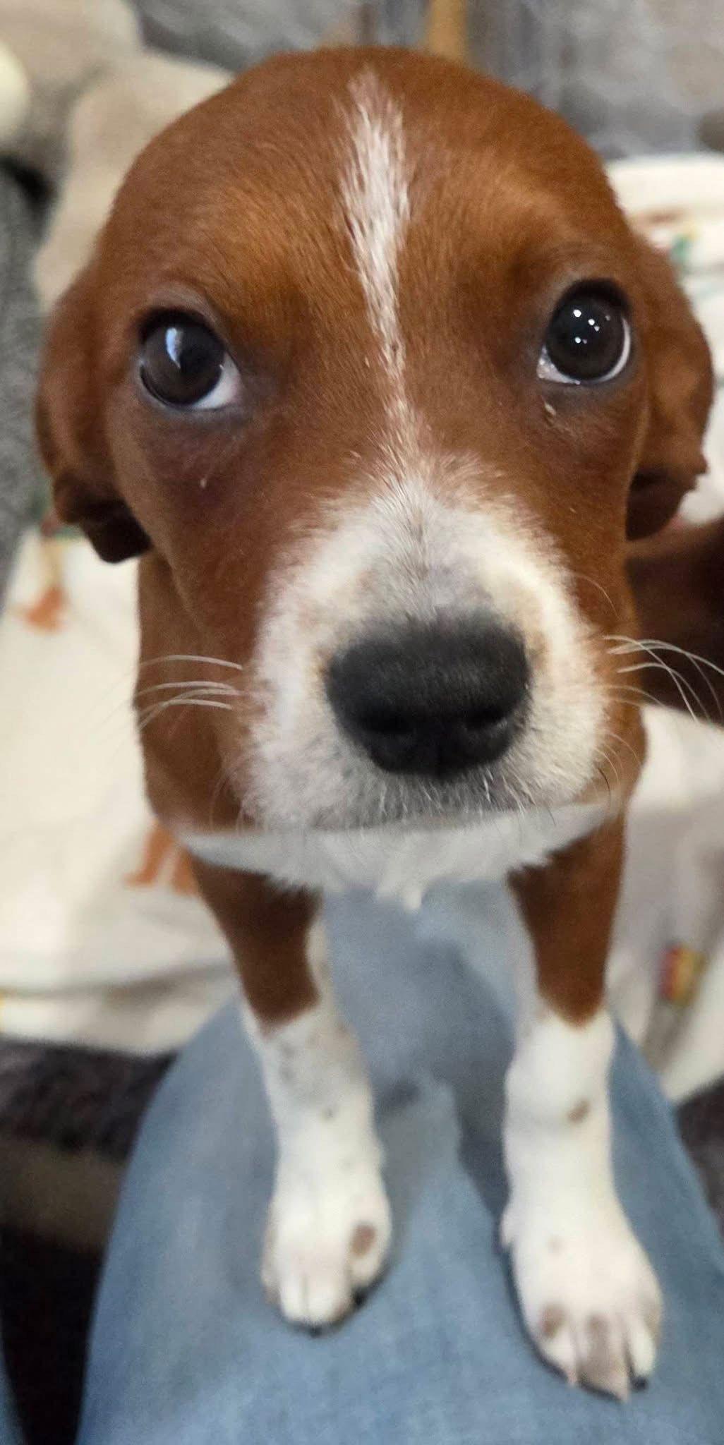 Lucy Priceless thumbnail 3