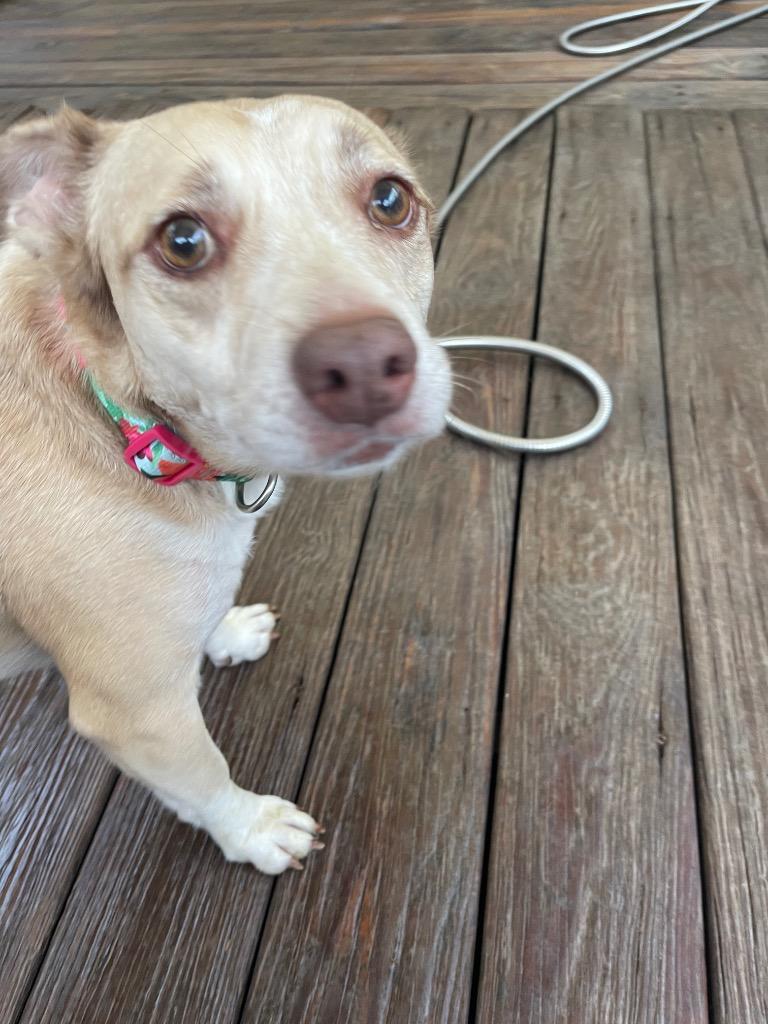 Sadie — thumbnail 2