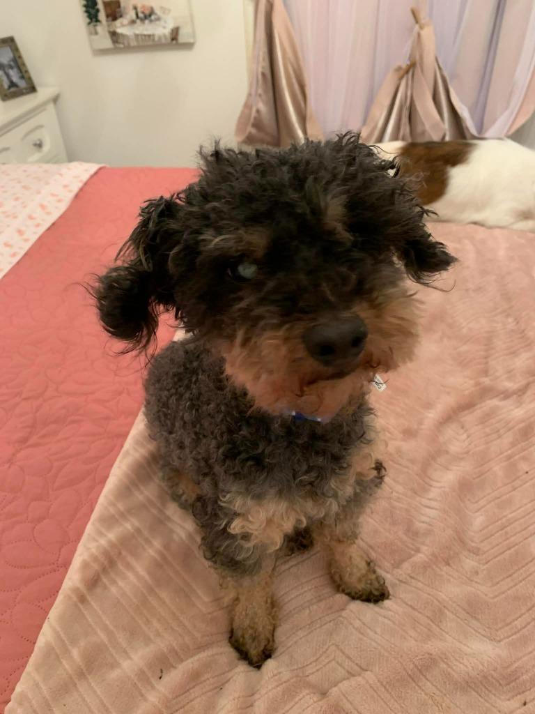 Daredevil thumbnail 4