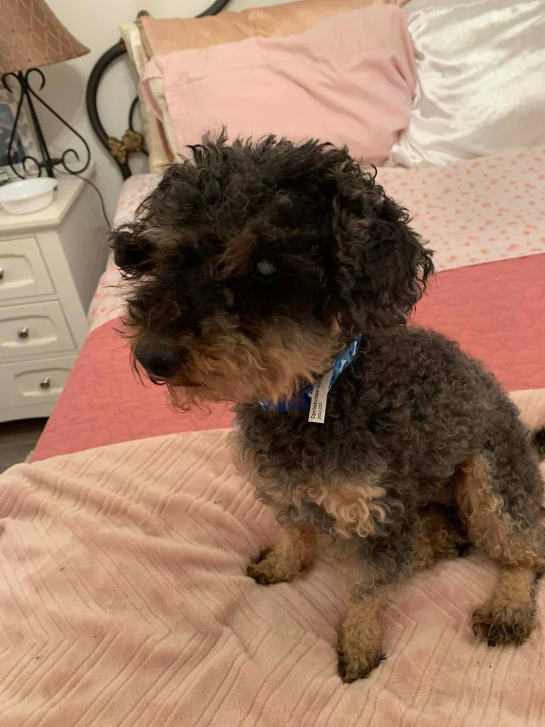 Daredevil thumbnail 5