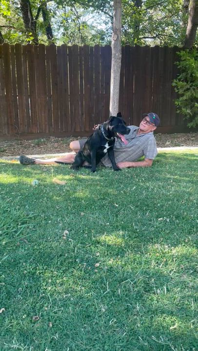 Enlarge Sawyer 0125, a Adoptable mixed breed in Sonora, CA video 3/6