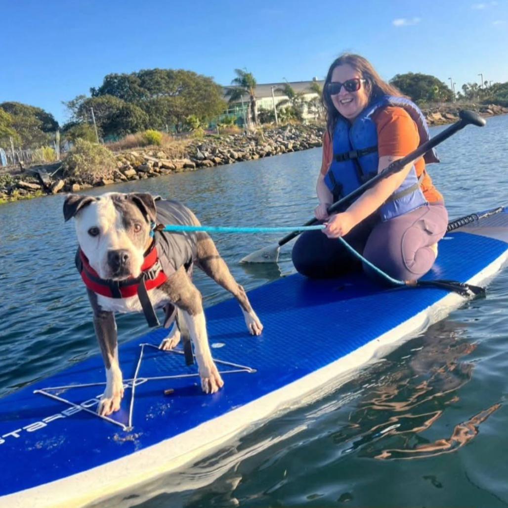 Chapo Mateo, a Adoptable Pit Bull Terrier in Silver Spring, MD image 2/6