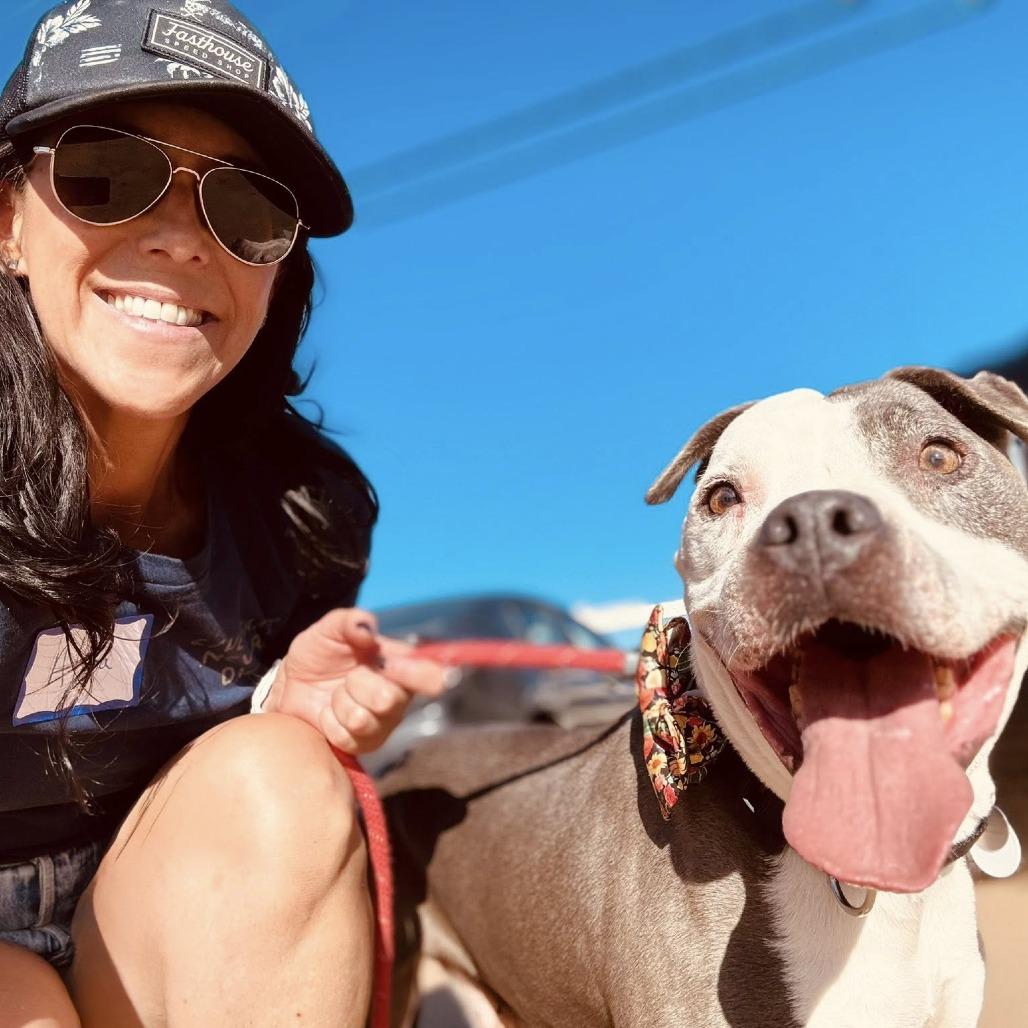 Chapo Mateo, a Adoptable Pit Bull Terrier in Silver Spring, MD image 3/6