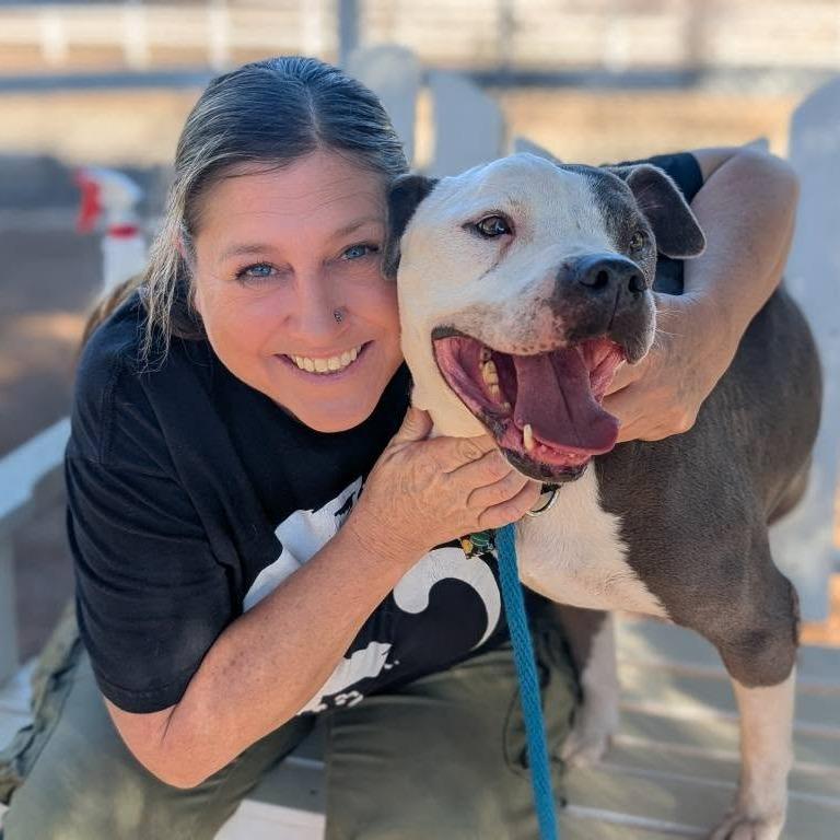 Chapo Mateo, a Adoptable Pit Bull Terrier in Silver Spring, MD image 4/6