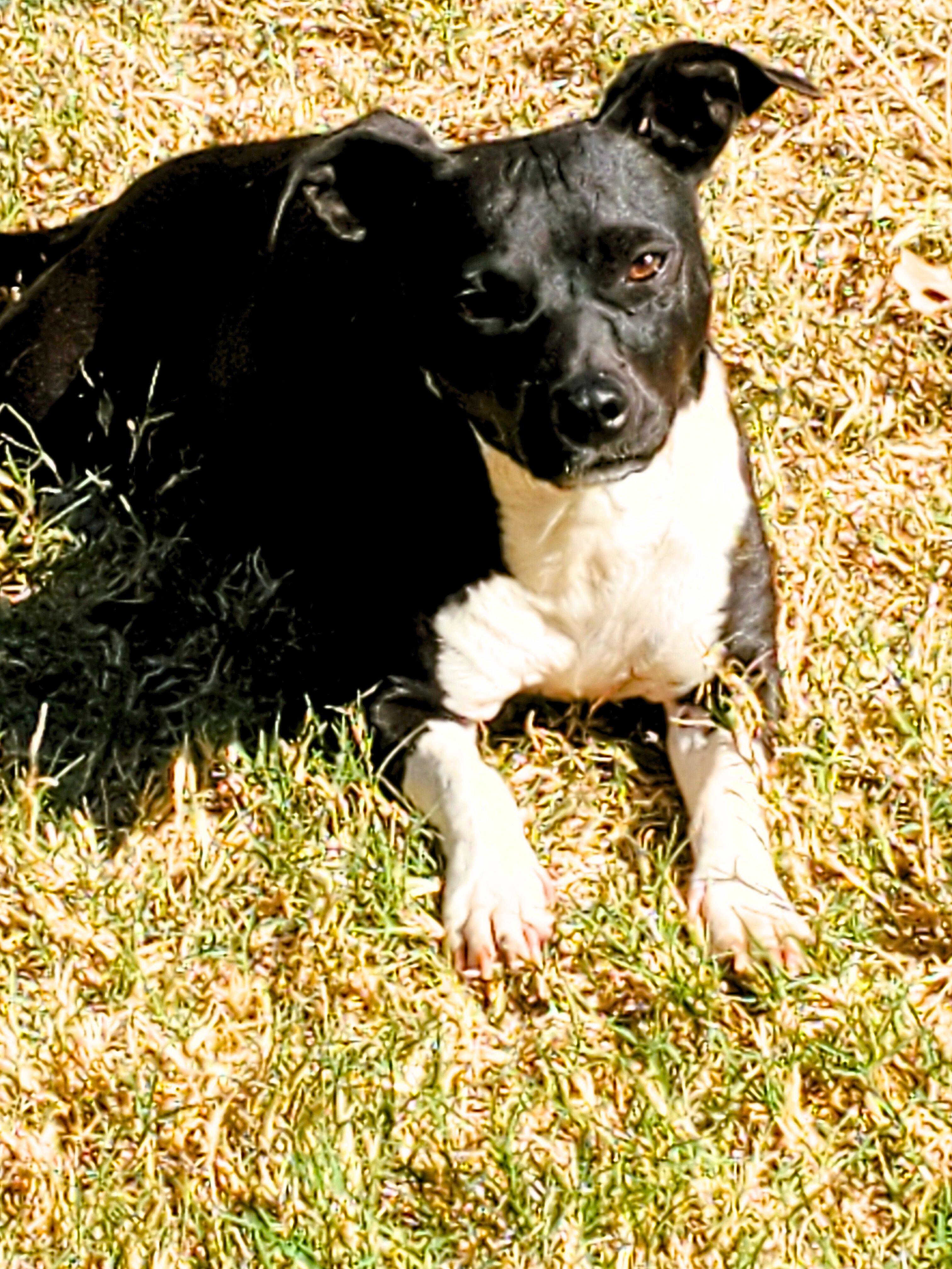 Lucy