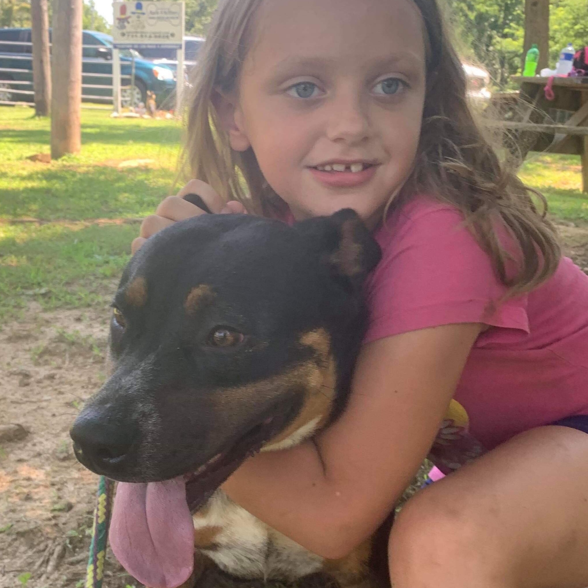 Enlarge Dixie, a Adoptable mixed breed in Greenfield, TN image 2/5