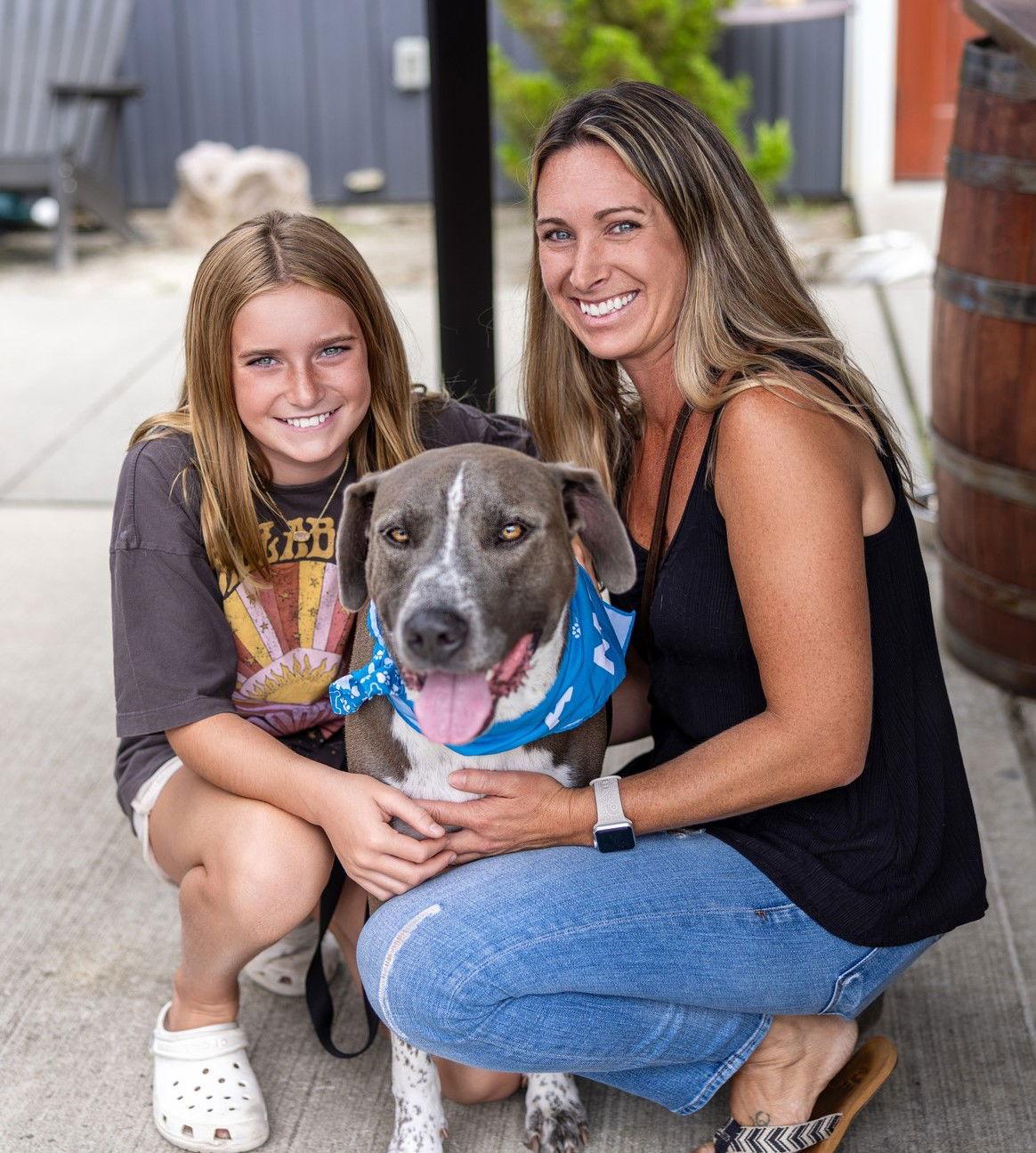 Harry - Handsome Boy!, a Adoptable mixed breed in Oakhurst, NJ image 2/3