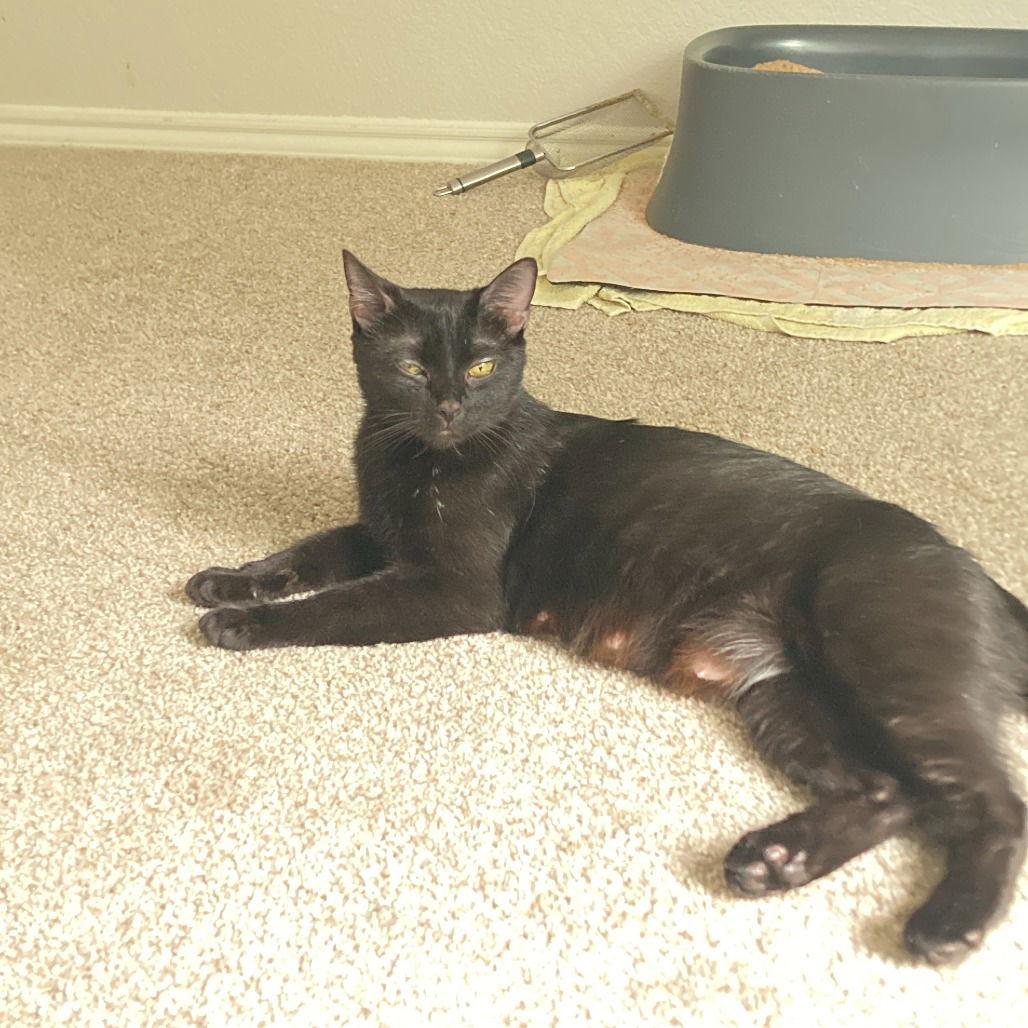 Hero I (New Digs) — thumbnail 2