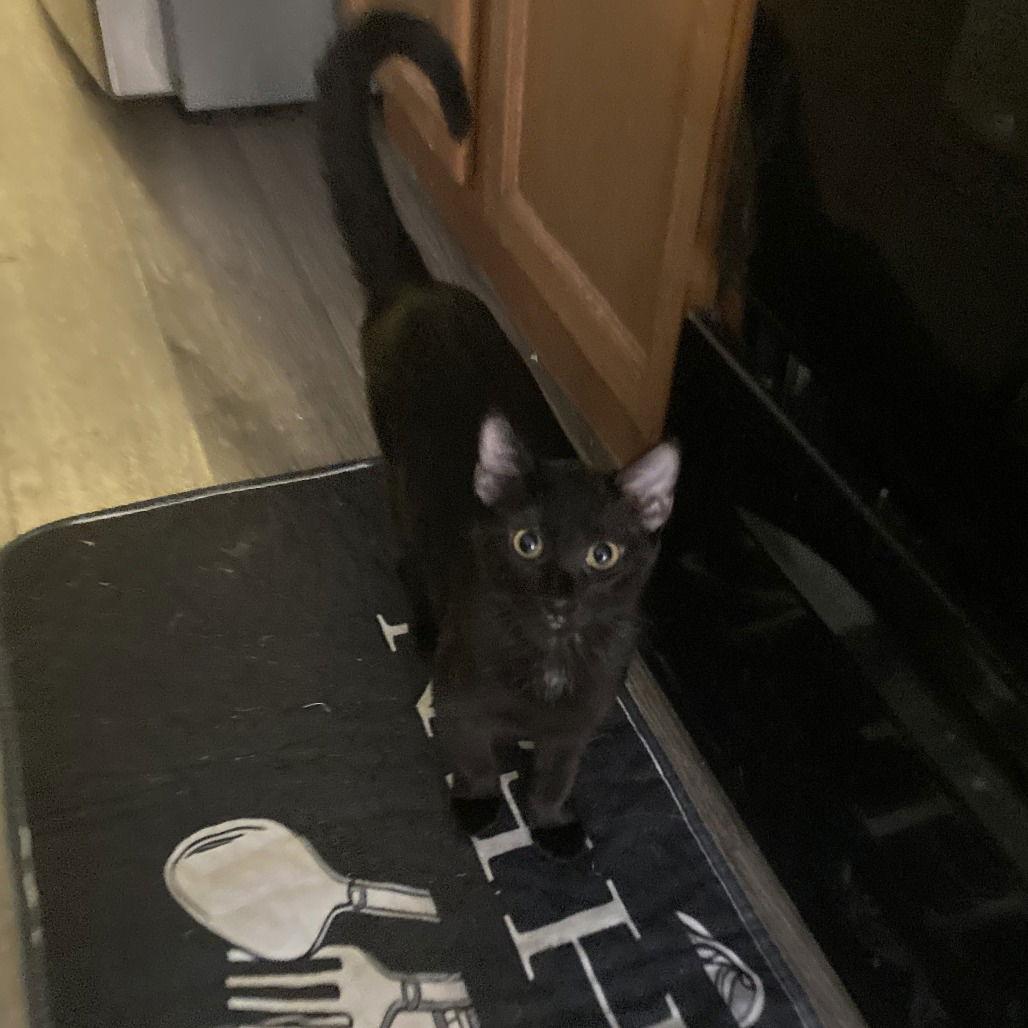 Hero I (New Digs) — thumbnail 3