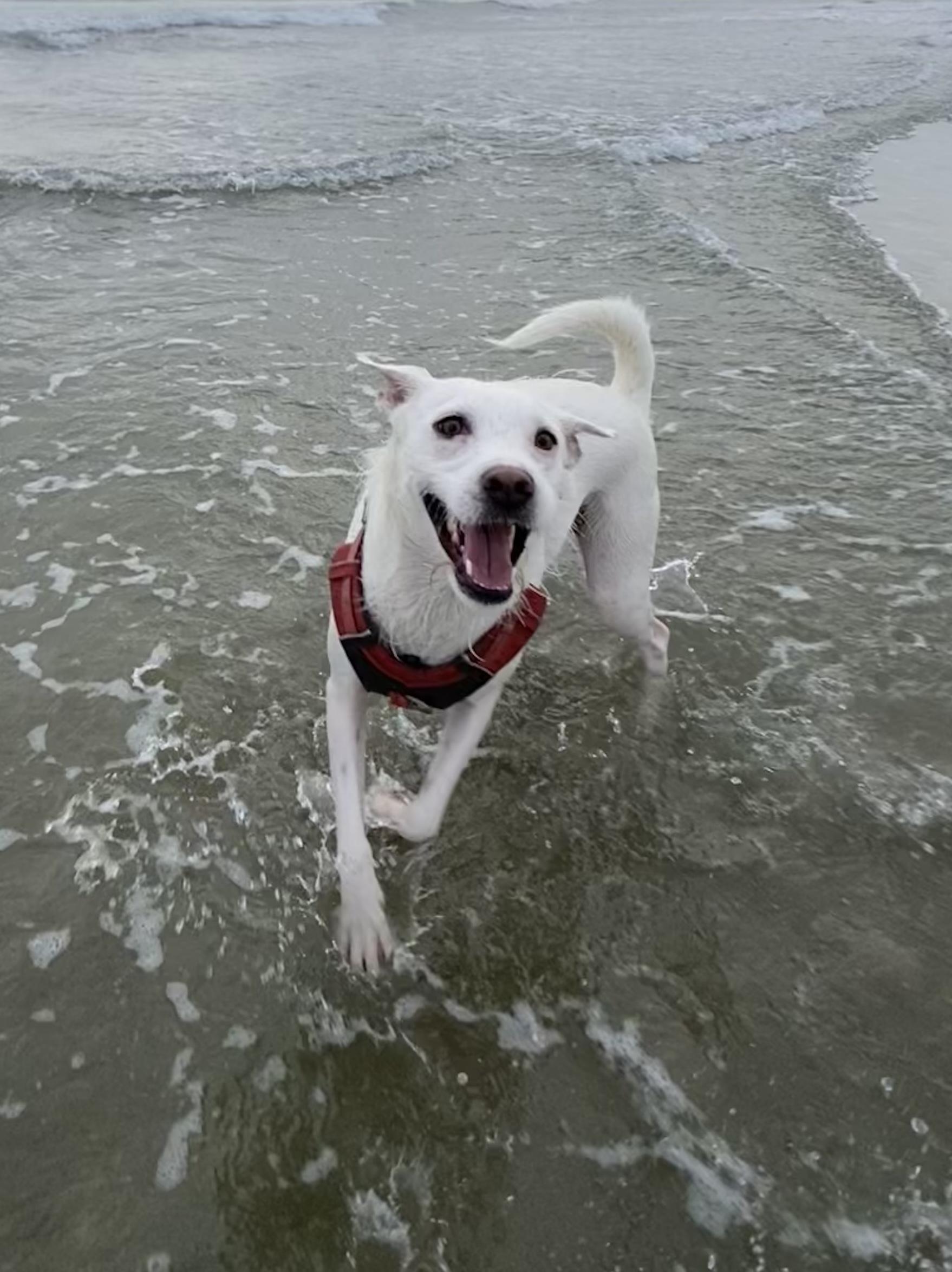 Bella photo 2