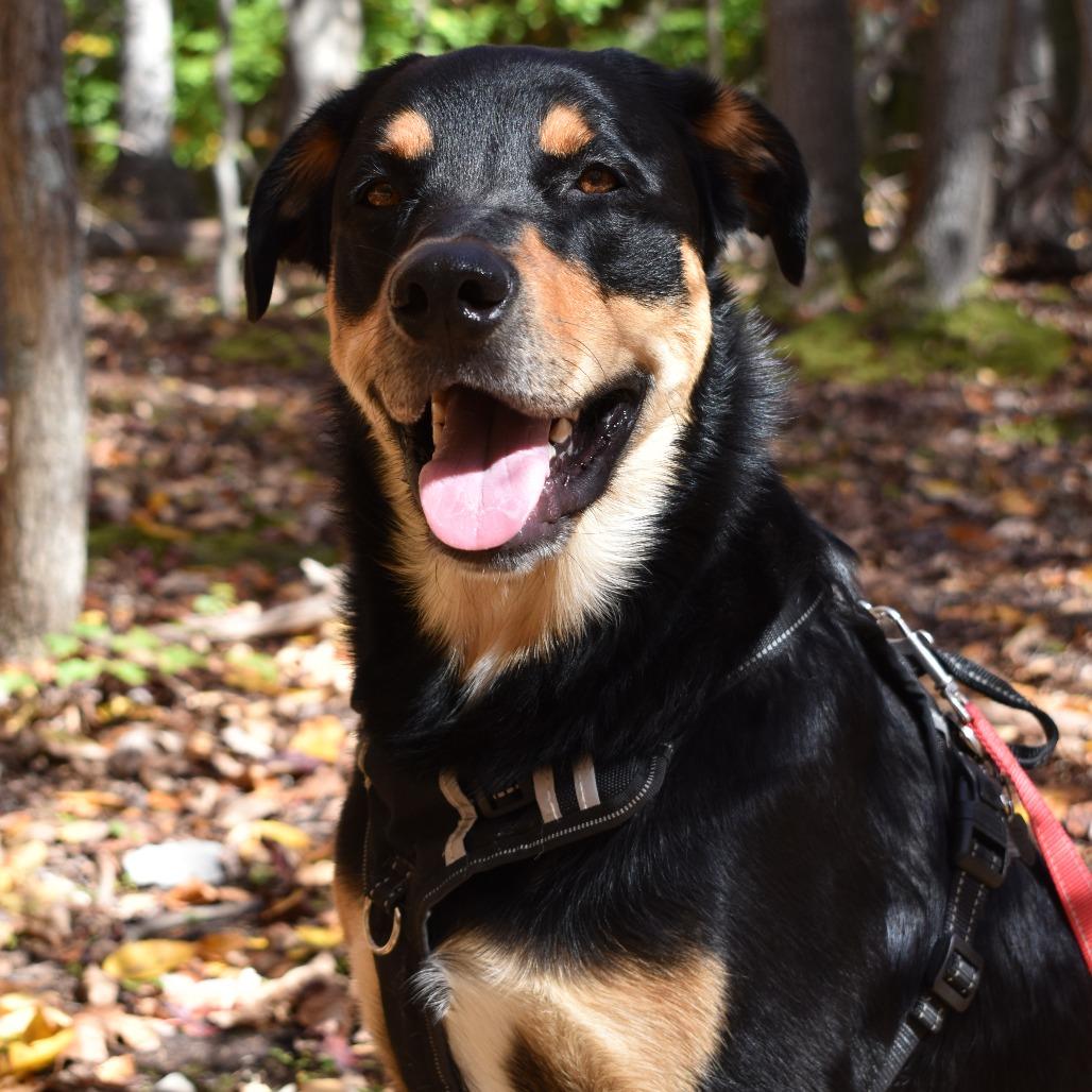 Zimmer — thumbnail 4