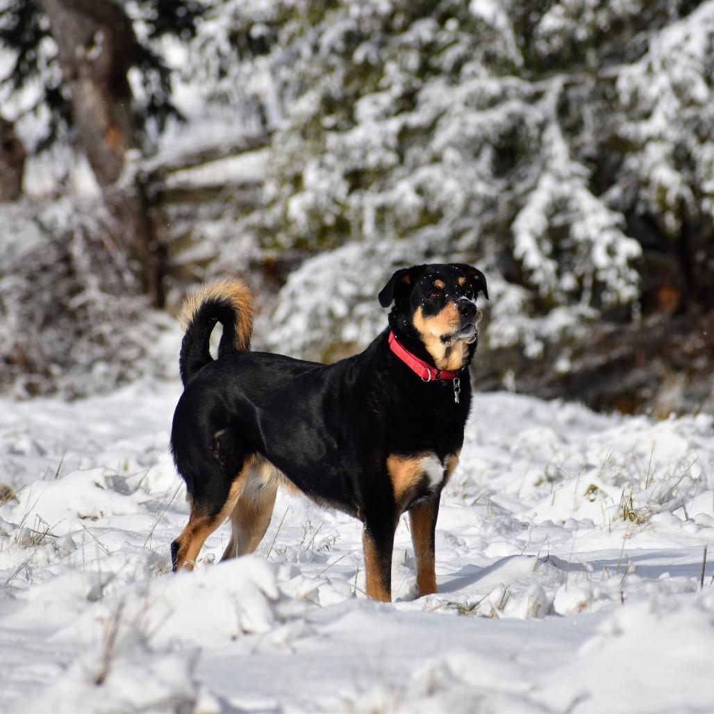 Zimmer — thumbnail 5