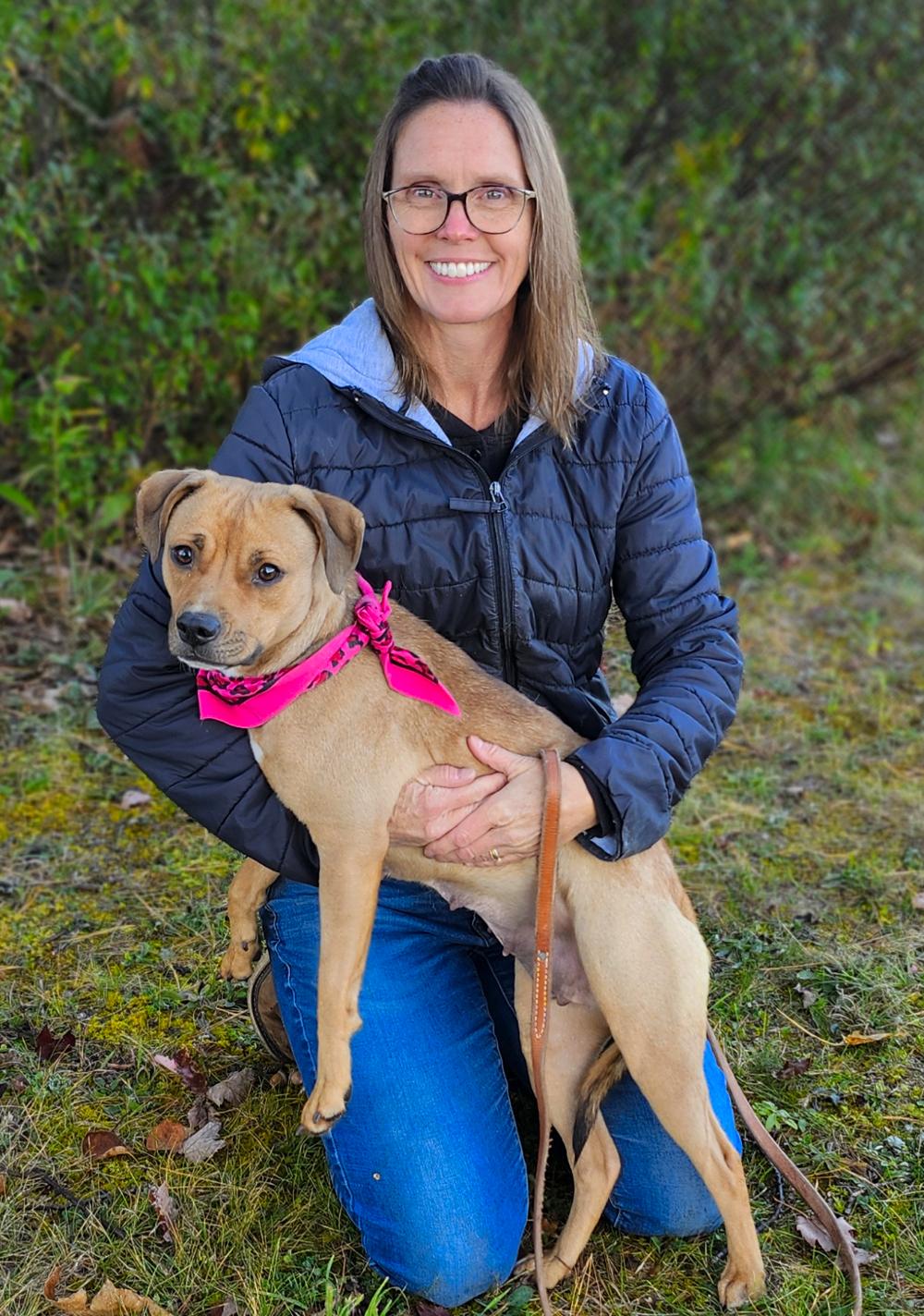 Tiny, an adoptable Chihuahua, American Staffordshire Terrier in Cheboygan, MI, 49721 | Photo Image 6