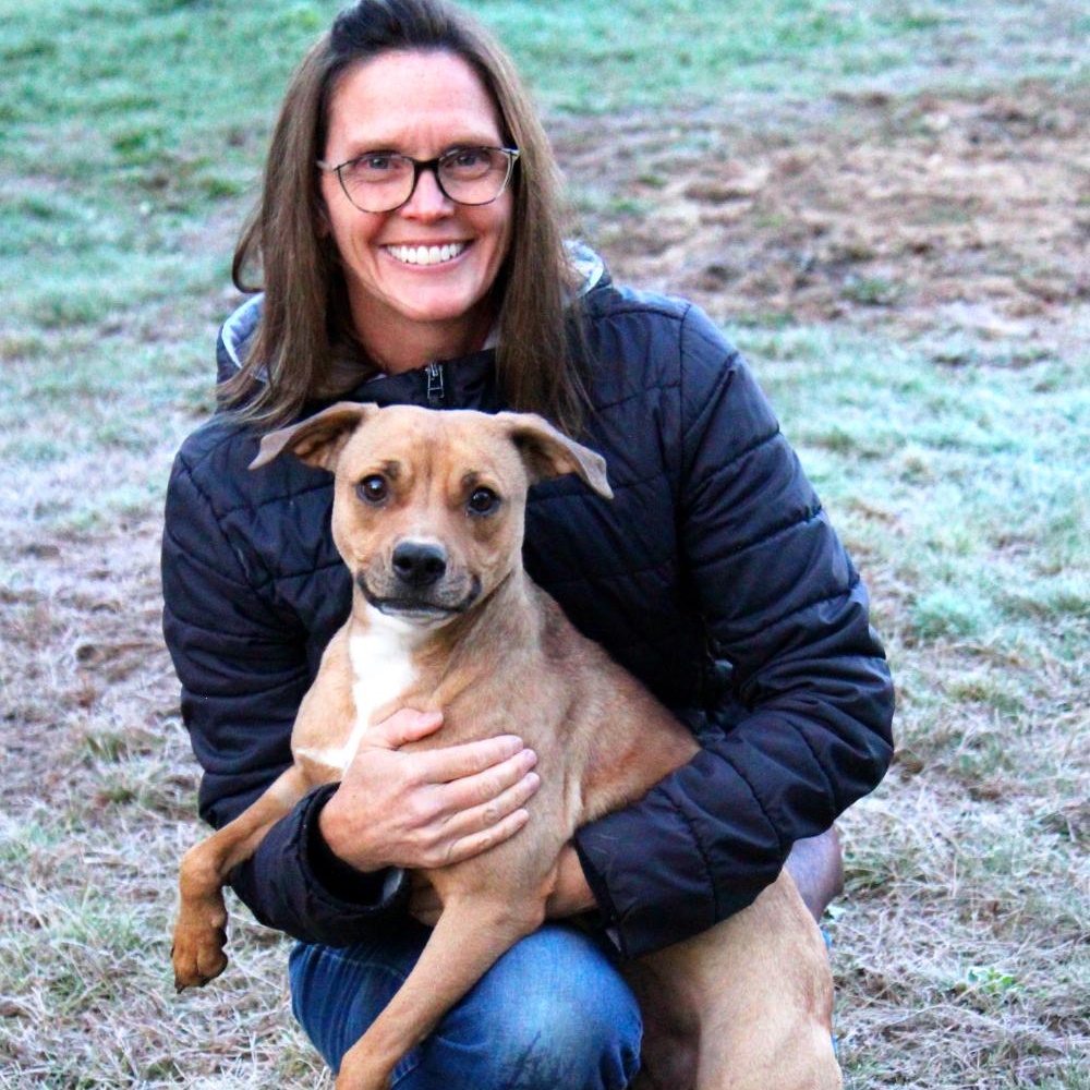 Tiny, an adoptable Chihuahua, American Staffordshire Terrier in Cheboygan, MI, 49721 | Photo Image 5