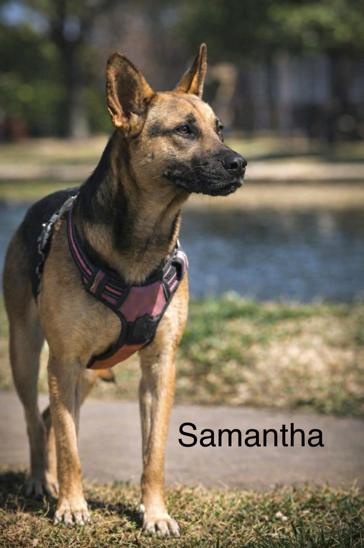Samantha — thumbnail 4