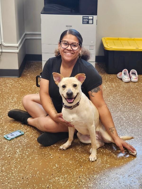 Enlarge Lumpy, a Adoptable mixed breed in Jackson, TN image 2/5