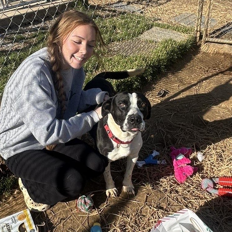 Enlarge Bernard, a Adoptable mixed breed in McKenzie, TN image 5/5