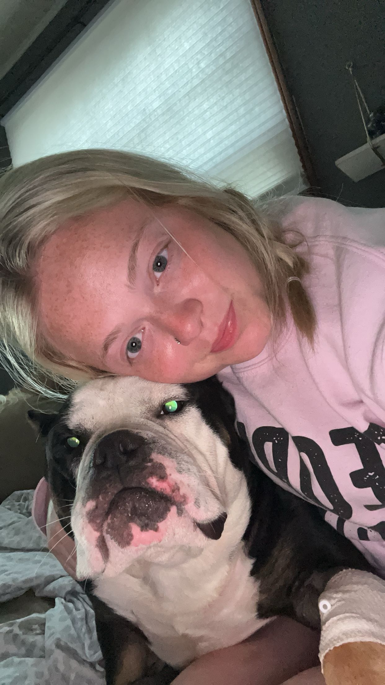 King, a Adoptable mixed breed in Spencer, IA image 6/6